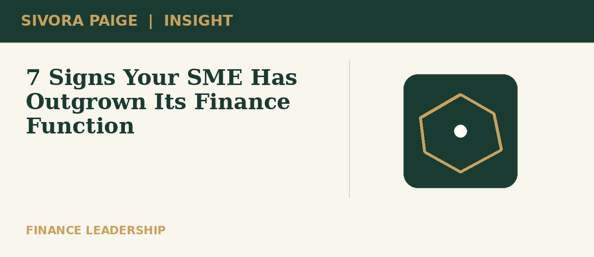 Illustration for 7 Signs Your SME Has Outgrown Its Finance Function