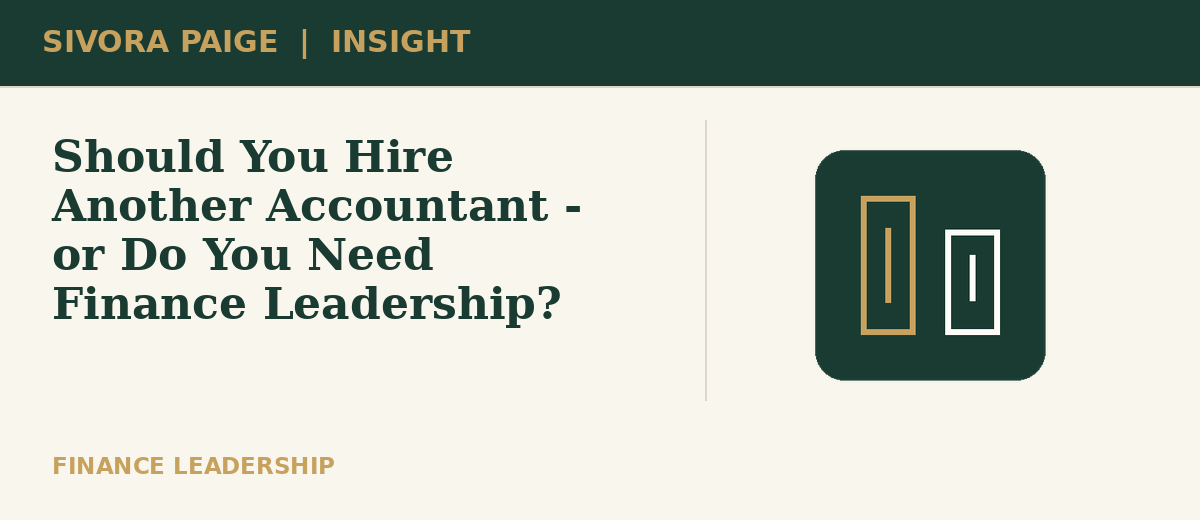 Illustration for Should You Hire Another Accountant - or Do You Need Finance Leadership?